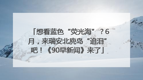 想看蓝色“荧光海”？6月，来瑞安北麂岛“追泪”吧！《90早新闻》来了