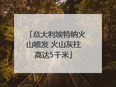 意大利埃特纳火山喷发 火山灰柱高达5千米