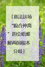 意法这场“貌合神离”的会晤难解两国根本分歧