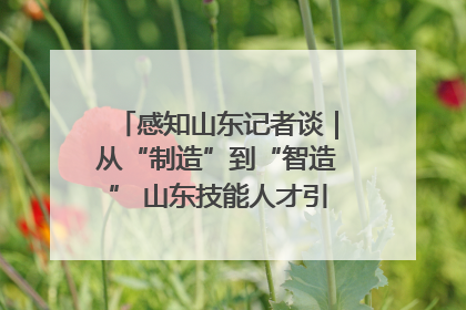感知山东记者谈｜从“制造”到“智造” 山东技能人才引领产业升级
