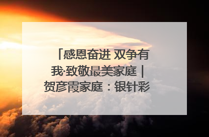感恩奋进 双争有我·致敬最美家庭｜贺彦霞家庭：银针彩线绣出好日子