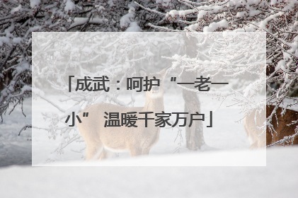 成武：呵护“一老一小” 温暖千家万户