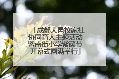 成都大邑校家社协同育人主题活动暨南街小学紫藤节开幕式圆满举行
