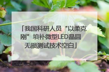 我国科研人员“以柔克刚”填补微型LED晶圆无损测试技术空白