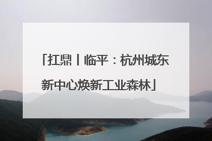 扛鼎丨临平：杭州城东新中心焕新工业森林