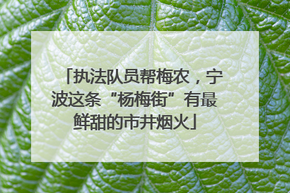 执法队员帮梅农，宁波这条“杨梅街”有最鲜甜的市井烟火