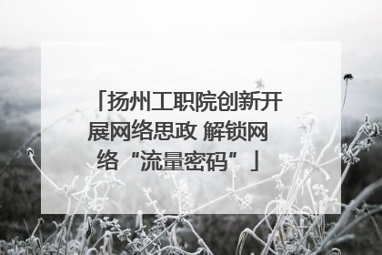 扬州工职院创新开展网络思政 解锁网络“流量密码”