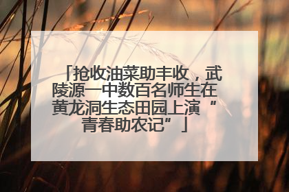 抢收油菜助丰收，武陵源一中数百名师生在黄龙洞生态田园上演“青春助农记”
