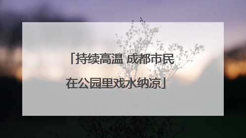 持续高温 成都市民在公园里戏水纳凉