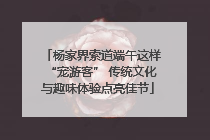 杨家界索道端午这样“宠游客” 传统文化与趣味体验点亮佳节
