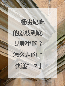 杨贵妃吃的荔枝到底是哪里的？怎么走的“快递”？