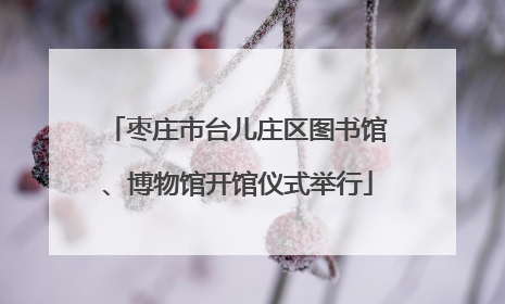 枣庄市台儿庄区图书馆、博物馆开馆仪式举行