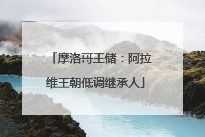 摩洛哥王储：阿拉维王朝低调继承人