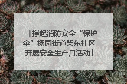 撑起消防安全“保护伞”杨园街道柴东社区开展安全生产月活动