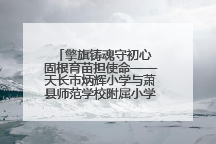 擎旗铸魂守初心 固根育苗担使命——天长市炳辉小学与萧县师范学校附属小学结对共建活动纪实