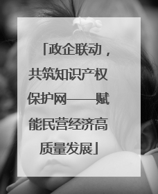 政企联动，共筑知识产权保护网——赋能民营经济高质量发展