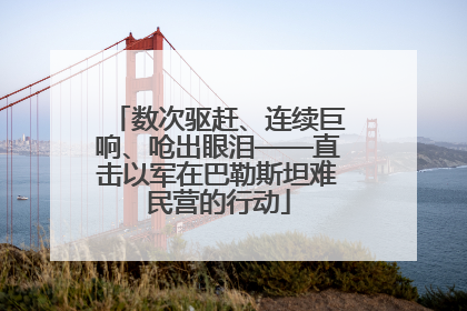 数次驱赶、连续巨响、呛出眼泪——直击以军在巴勒斯坦难民营的行动