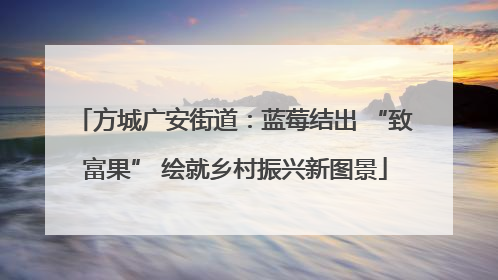 方城广安街道：蓝莓结出 “致富果” 绘就乡村振兴新图景