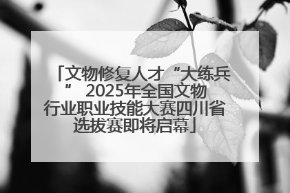 文物修复人才“大练兵” 2025年全国文物行业职业技能大赛四川省选拔赛即将启幕