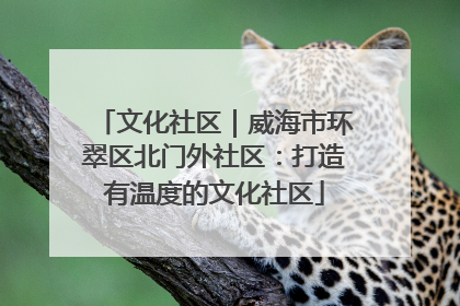 文化社区｜威海市环翠区北门外社区：打造有温度的文化社区