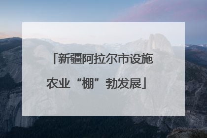 新疆阿拉尔市设施农业“棚”勃发展