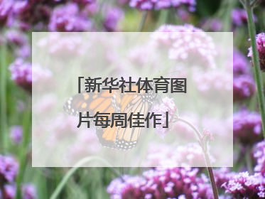 新华社体育图片每周佳作