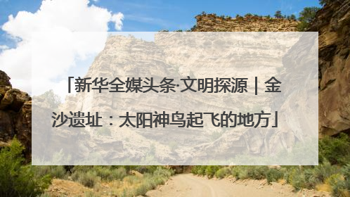 新华全媒头条·文明探源｜金沙遗址：太阳神鸟起飞的地方