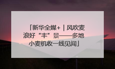 新华全媒+｜风吹麦浪好“丰”景——多地小麦机收一线见闻