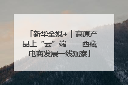 新华全媒+｜高原产品上“云”端——西藏电商发展一线观察