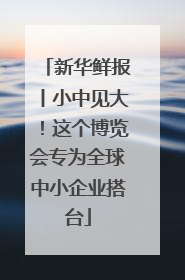 新华鲜报丨小中见大！这个博览会专为全球中小企业搭台