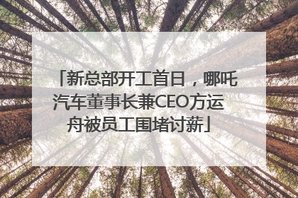 新总部开工首日，哪吒汽车董事长兼CEO方运舟被员工围堵讨薪