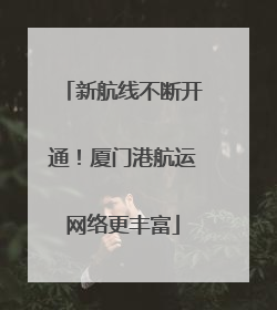 新航线不断开通！厦门港航运网络更丰富