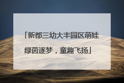 新都三幼大丰园区萌娃绿茵逐梦，童趣飞扬