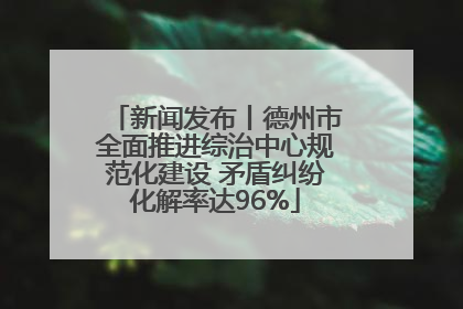 新闻发布丨德州市全面推进综治中心规范化建设 矛盾纠纷化解率达96%