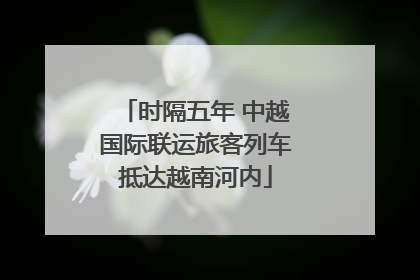 时隔五年 中越国际联运旅客列车抵达越南河内