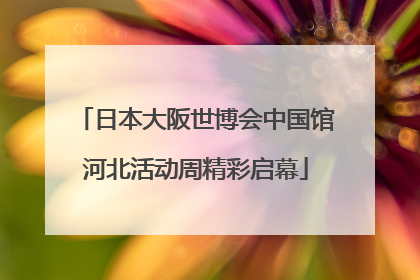 日本大阪世博会中国馆河北活动周精彩启幕