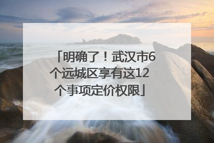 明确了！武汉市6个远城区享有这12个事项定价权限