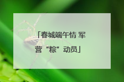 春城端午情 军营“粽”动员