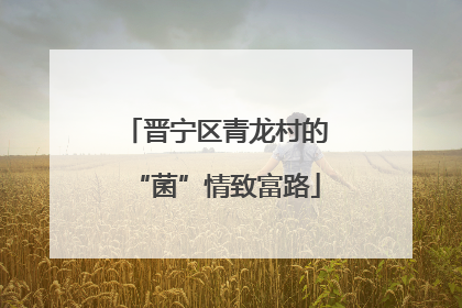 晋宁区青龙村的“菌”情致富路