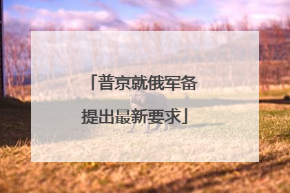 普京就俄军备提出最新要求