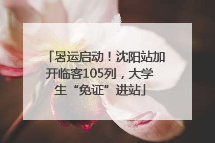 暑运启动！沈阳站加开临客105列，大学生“免证”进站