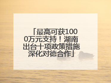 最高可获1000万元支持！湖南出台十项政策措施深化对德合作
