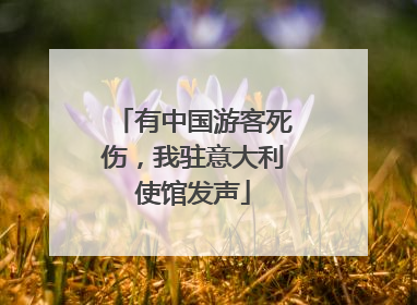 有中国游客死伤，我驻意大利使馆发声