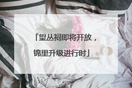 望丛祠即将开放，锦里升级进行时