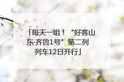 每天一组！“好客山东·齐鲁1号”第二列列车12日开行