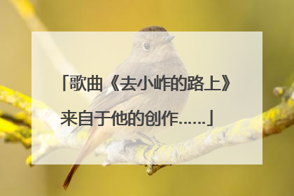 歌曲《去小岞的路上》来自于他的创作……