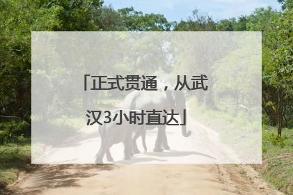 正式贯通，从武汉3小时直达