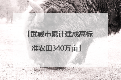 武威市累计建成高标准农田340万亩