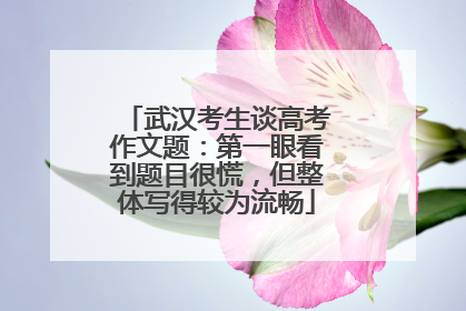 武汉考生谈高考作文题：第一眼看到题目很慌，但整体写得较为流畅