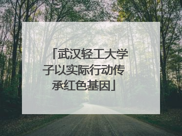 武汉轻工大学子以实际行动传承红色基因